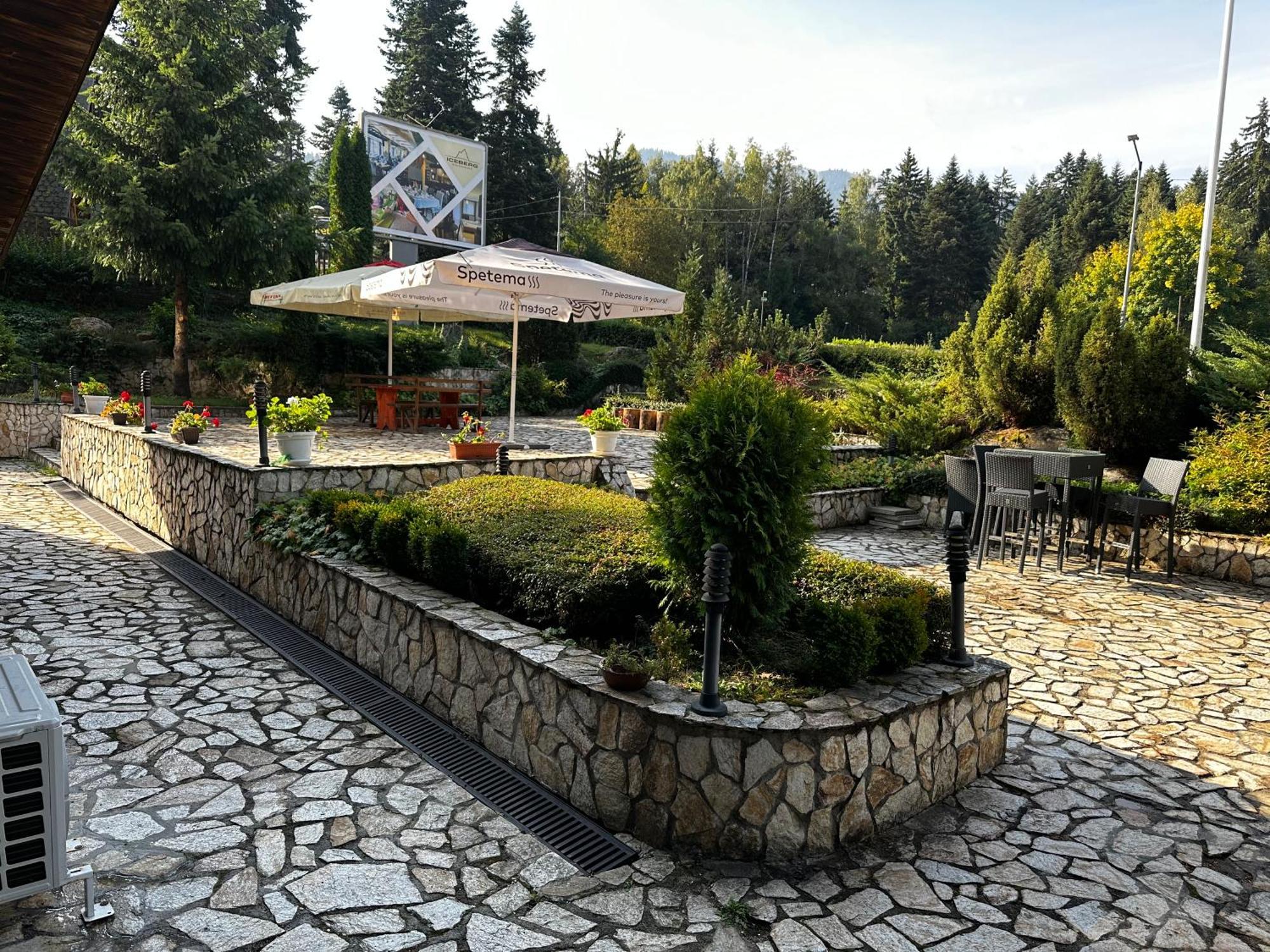 Borovets Holiday Apartments - Different Locations In Μπόροβετς Εξωτερικό φωτογραφία